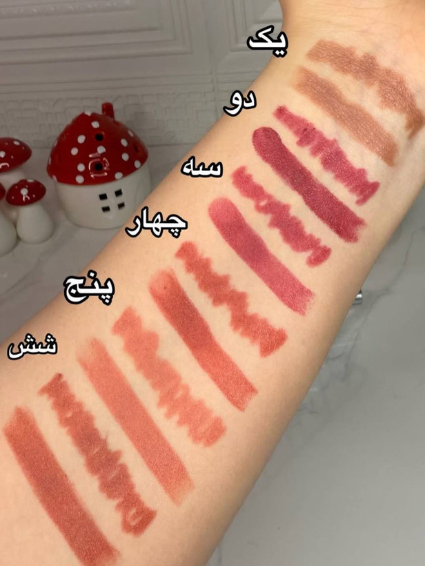 خط لب و رژ لب دو طرفه Ckngn