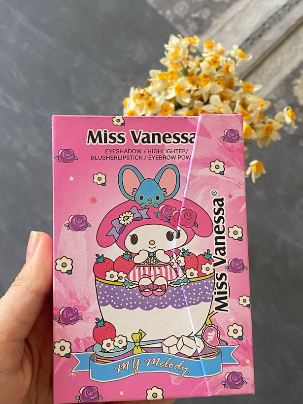 پالت سایه کتابی miss vanaessa